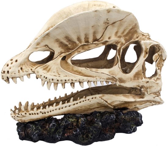 Dinosaurus Aquarium Decoratie