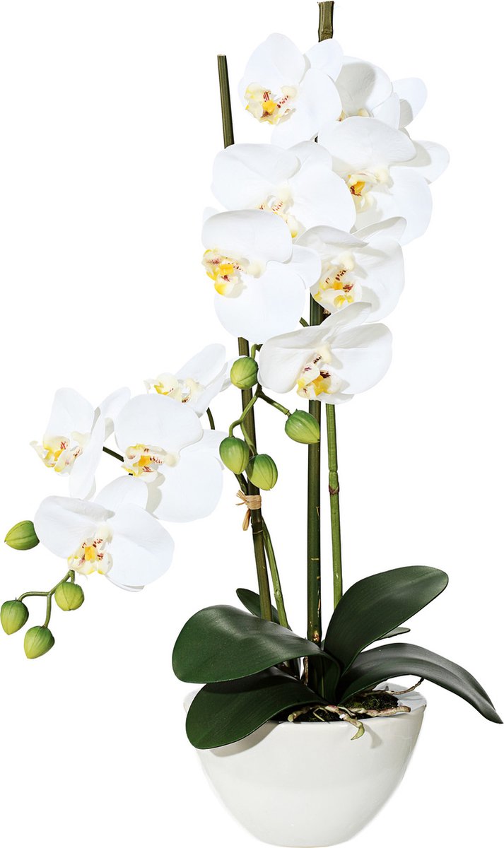 Kopu Kunstbloem Orchidee 50 cm Wit met cement Sierpot - Phalenopsis