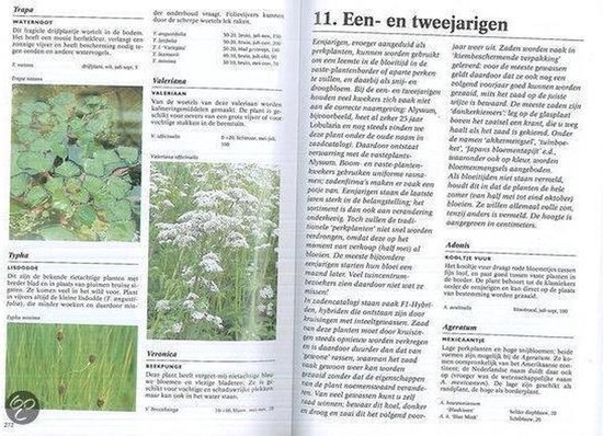 Encyclopedie - Tuinplanten encyclopedie