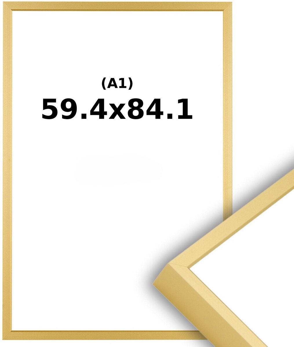 Lichtendonk Wissellijst Mat Champagne Goud A1 - 59,4 x 84,1cm - Ontspiegeld Acrylite - Professional