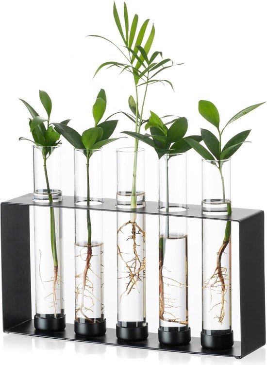 Terrariumpot Met Weinig Bos En Een Zelfecosysteem Met Kleine Decoratie Glazen Kom Terrarium Planten Terrariumplantages Image306272089