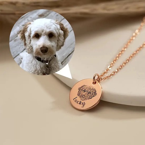 Collier doré avec un pendentif rond gravé d'une tête de chien et le mot 'Lucky'.