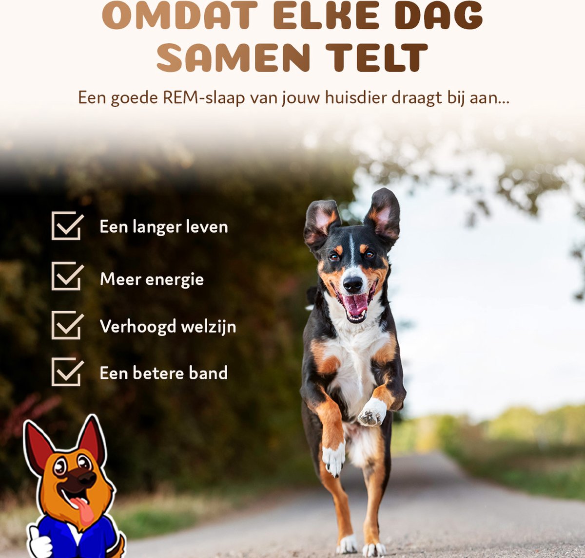 Pet Perfect - Orthopedische Hondenmand thumbnail 3