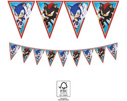 Sonic slingers - Vlaggenlijn - Breng snelheid en plezier naar elk feestje - Kinderfeestje - Verjaardag - Themafeestje