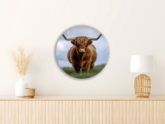 Saammp Cercle Mural Bois - Vache Highlander Écossaise dans le pré - Nature - Animaux - Ø 40 - Cercle Mural - Décoration murale - Décoration murale Murale Salon - Décoration Chambre - Tableau Rond