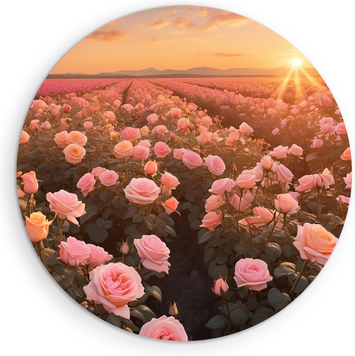 Saammp Muurcirkel Hout - Landschap - Roze Bloemenveld - Kleurrijk - Ø 40 - Wandcirkel - Wanddecoratie Cirkel - Muurdecoratie Woonkamer - Slaapkamer decoratie - Rond Schilderij