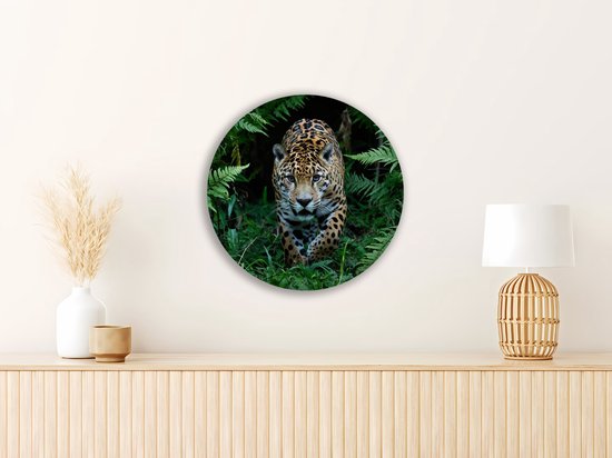 Saammp Cercle Mural Bois - Jaguar dans la nature - Animaux - Ø 30 - Cercle Mural - Décoration murale Cercle - Décoration murale Salon - Décoration Chambre - Tableau Rond