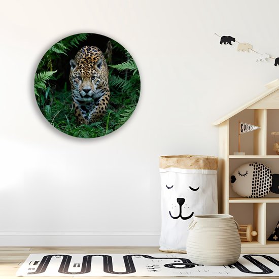 Saammp Cercle Mural Bois - Jaguar dans la nature - Animaux - Ø 30 - Cercle Mural - Décoration murale Cercle - Décoration murale Salon - Décoration Chambre - Tableau Rond