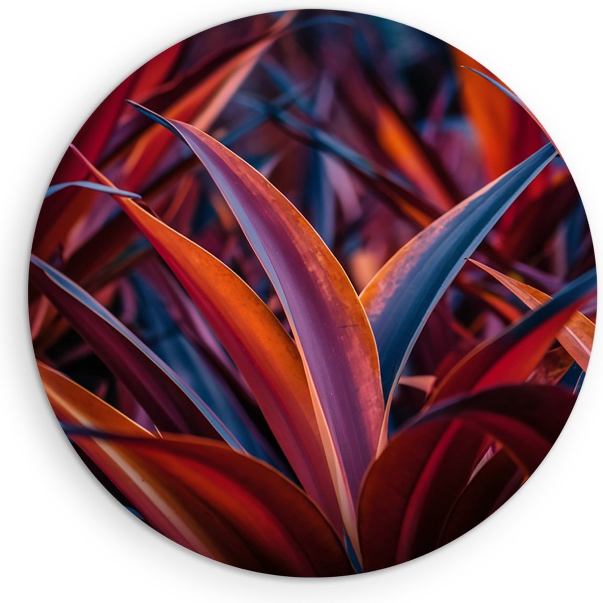 Saammp Muurcirkel Hout - Abstracte Kleurrijke Bladeren - Modern - Abstract - Ø 70 - Wandcirkel - Wanddecoratie Cirkel - Muurdecoratie Woonkamer - Kantoor Decoratie