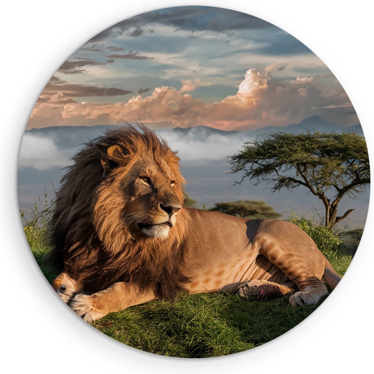 Saammp Muurcirkel Hout - Leeuw bovenop een berg - Landschap - Dieren - Natuur - Ø 70 - Wandcirkel - Wanddecoratie Cirkel - Muurdecoratie Woonkamer - Slaapkamer decoratie - Rond Schilderij
