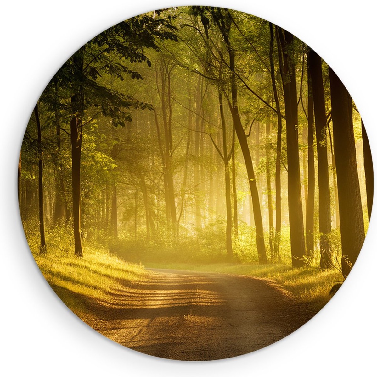 Saammp Muurcirkel Hout - Weg door het bos - Bomen - Landschap - Natuur - Ø 70 - Wandcirkel - Wanddecoratie Cirkel - Muurdecoratie Woonkamer - Slaapkamer decoratie - Rond Schilderij