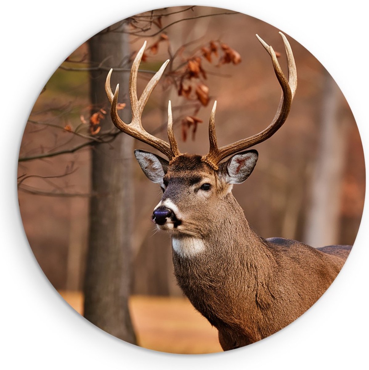 Saammp Muurcirkel Hout - Hert - Portret - Bos - Natuur - Dieren - Ø 90 - Wandcirkel - Wanddecoratie Cirkel - Muurdecoratie Woonkamer - Slaapkamer decoratie - Rond Schilderij