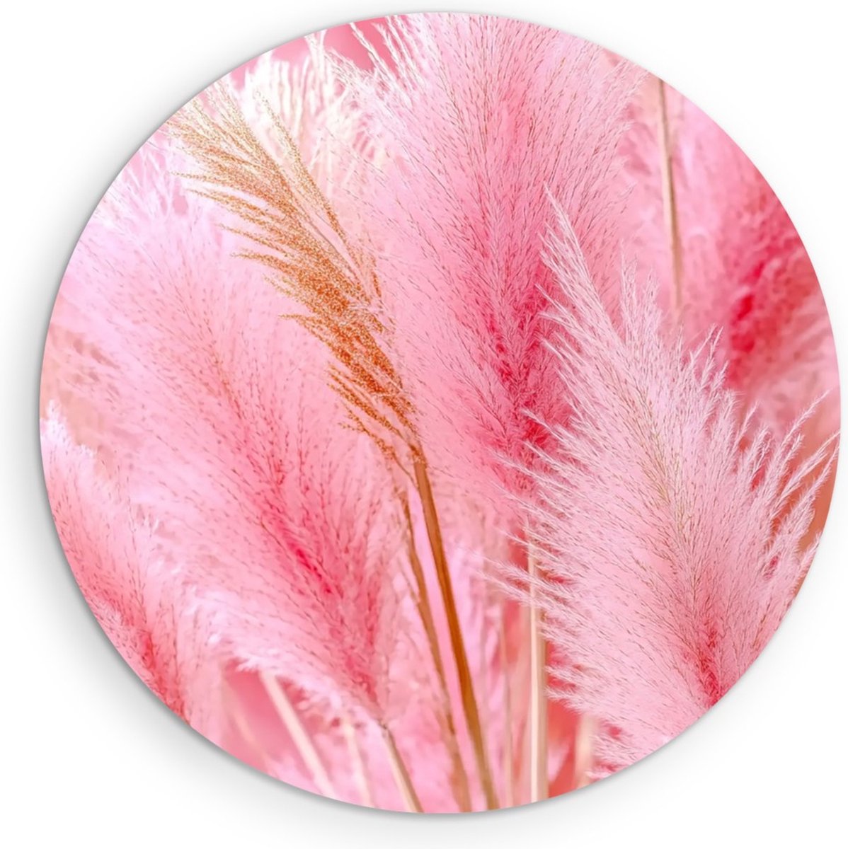 Saammp Muurcirkel Hout - Roze Pluimen - Bloemen - Natuur - Abstract - Ø 80 - Wandcirkel - Wanddecoratie Cirkel - Muurdecoratie Woonkamer - Kantoor Decoratie