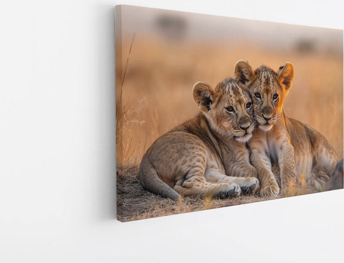 Saammp Canvas Schilderij - Leeuwenwelpen liggen tegen elkaar aan - Dieren - Natuur - 60x40 - Foto op canvas - Wanddecoratie - Muurdecoratie Woonkamer - Slaapkamer decoratie - Canvas Print Multicolor