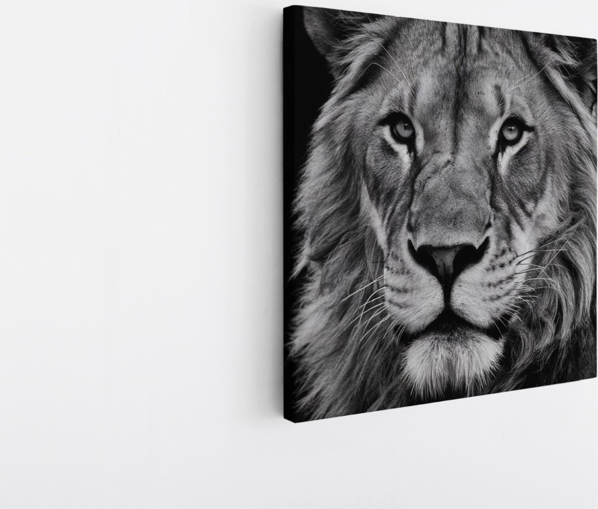 Saammp Canvas Schilderij - Leeuwen Portret - zwart-wit - Dieren - Natuur - 20x20 - Foto op canvas - Wanddecoratie - Muurdecoratie Woonkamer - Slaapkamer decoratie - Canvas Print Multicolor
