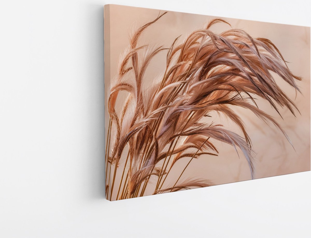Saammp Canvas Schilderij - Gedroogd Gras in Detail - Natuur - Abstract - 30x20 - Foto op canvas - Wanddecoratie - Muurdecoratie Woonkamer - Kantoor Decoratie Multicolor