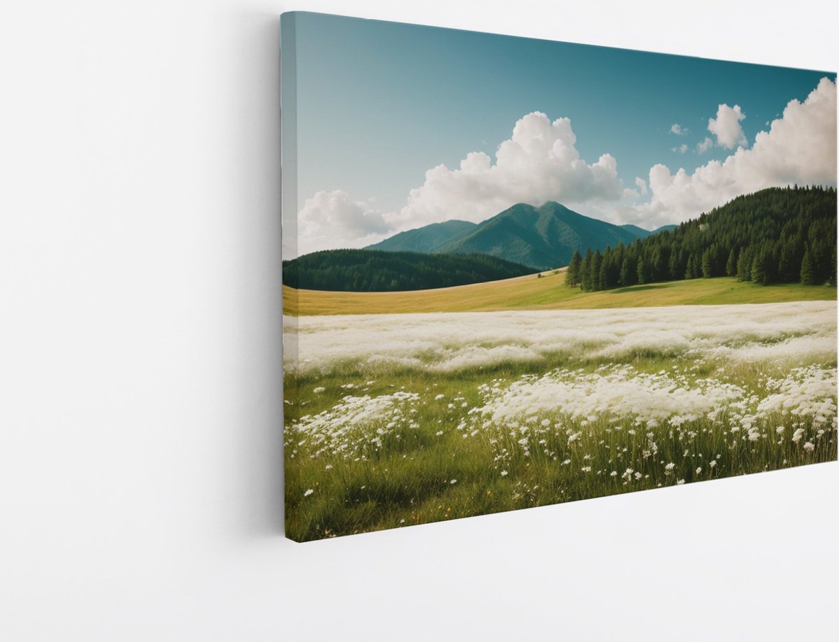 Saammp Canvas Schilderij - Landschap - Witte bloemenveld met naaldbomen - Natuur - 45x30 - Foto op canvas - Wanddecoratie - Muurdecoratie Woonkamer - Slaapkamer decoratie - Canvas Print Multicolor