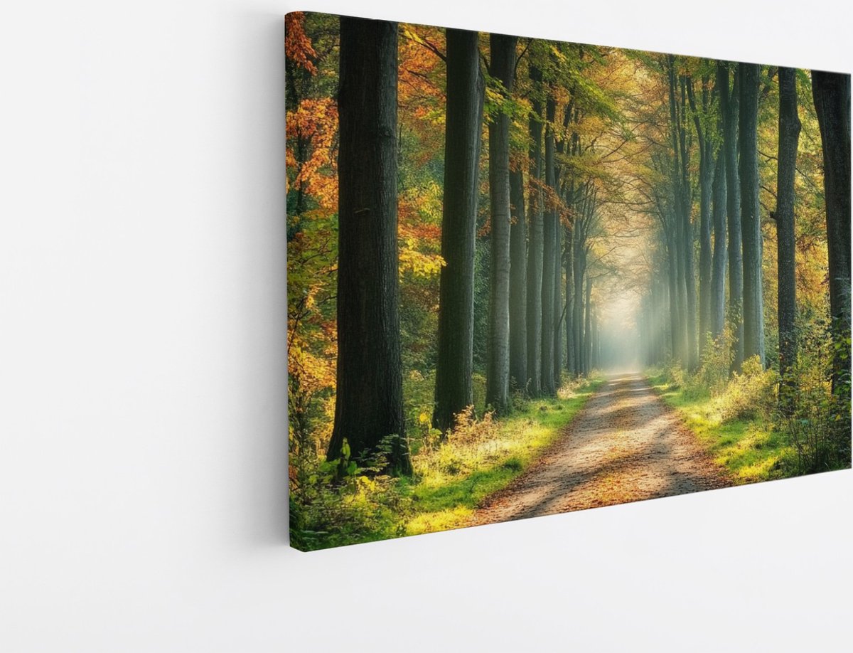 Saammp Canvas Schilderij - Natuur - bospad tussen de hoge bomen - landschap - 70x50 - Foto op canvas - Wanddecoratie - Muurdecoratie Woonkamer - Slaapkamer decoratie - Canvas Print Multicolor