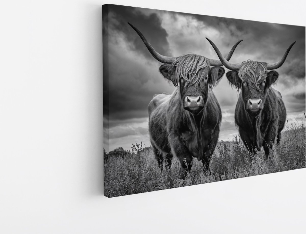 Saammp Canvas Schilderij - 2 Schotse Hooglander Koeien in een storm - Natuur - Dieren - 60x40 - Foto op canvas - Wanddecoratie - Muurdecoratie Woonkamer - Slaapkamer decoratie - Canvas Print Multicolor
