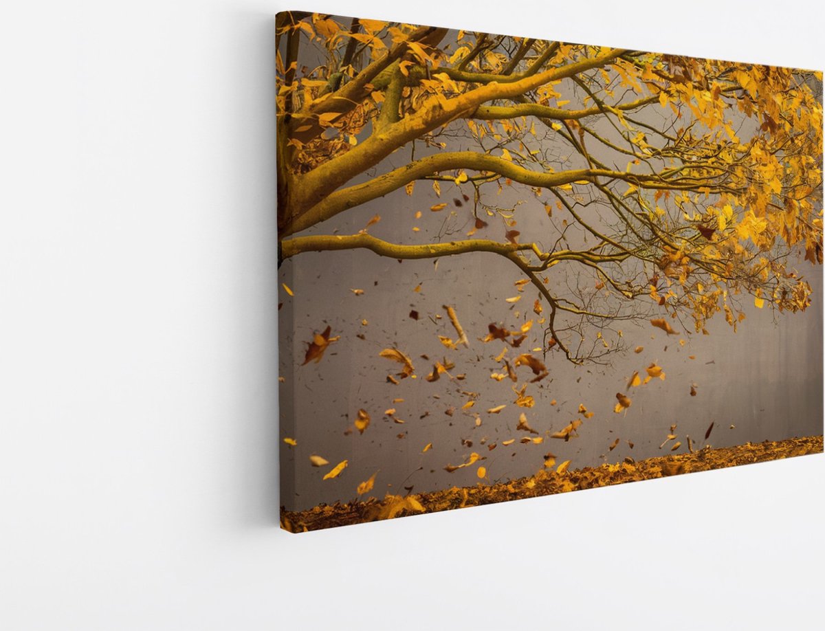 Saammp Canvas Schilderij - Hefst boom - Bladeren - Landschap - Natuur - 120x80 - Foto op canvas - Wanddecoratie - Muurdecoratie Woonkamer - Slaapkamer decoratie - Canvas Print Multicolor
