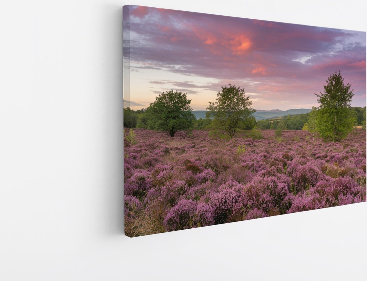 Saammp Canvas Schilderij - Groot lavendelveld - Landschap - Natuur - 120x80 - Foto op canvas - Wanddecoratie - Muurdecoratie Woonkamer - Slaapkamer decoratie - Canvas Print Multicolor