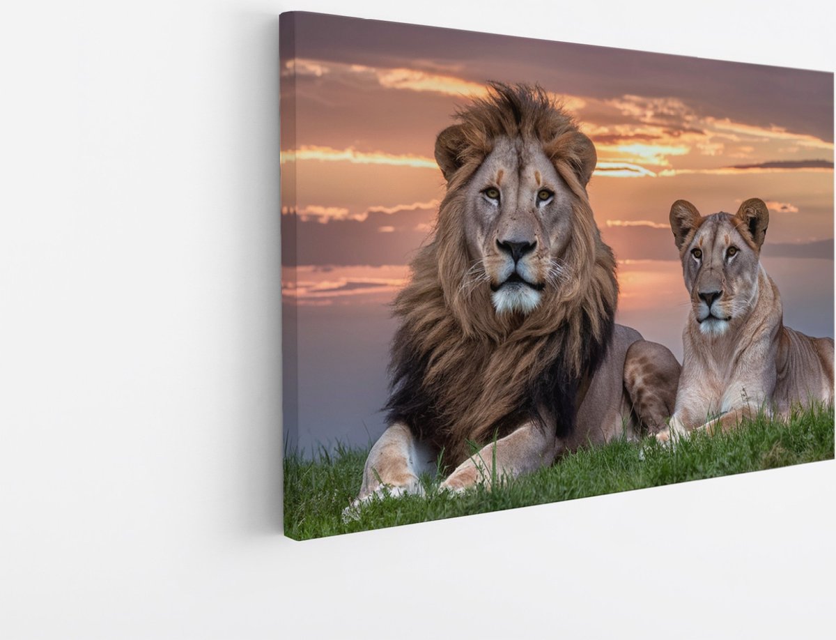 Saammp Canvas Schilderij - Leeuwenkoppel met afrikaanse zonsondergang - Dieren - Natuur - 30x20 - Foto op canvas - Wanddecoratie - Muurdecoratie Woonkamer - Slaapkamer decoratie - Canvas Print Multicolor