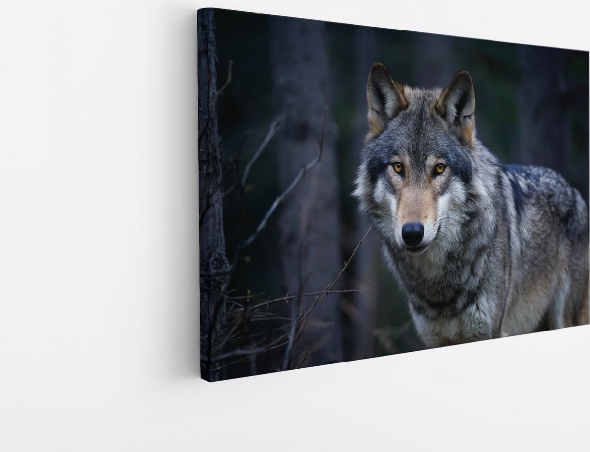 Saammp Canvas Schilderij - Wolf - Dieren - Natuur - 120x80 - Foto op canvas - Wanddecoratie - muurdecoratie Woonkamer - Slaapkamer decoratie - Canvas Print Multicolor