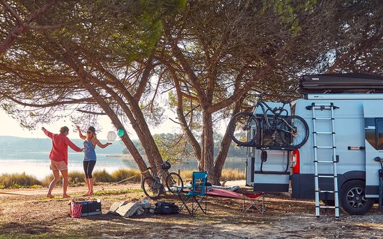 Thule fietsendrager Elite Van XT - Zwart van Thule — afbeelding 5