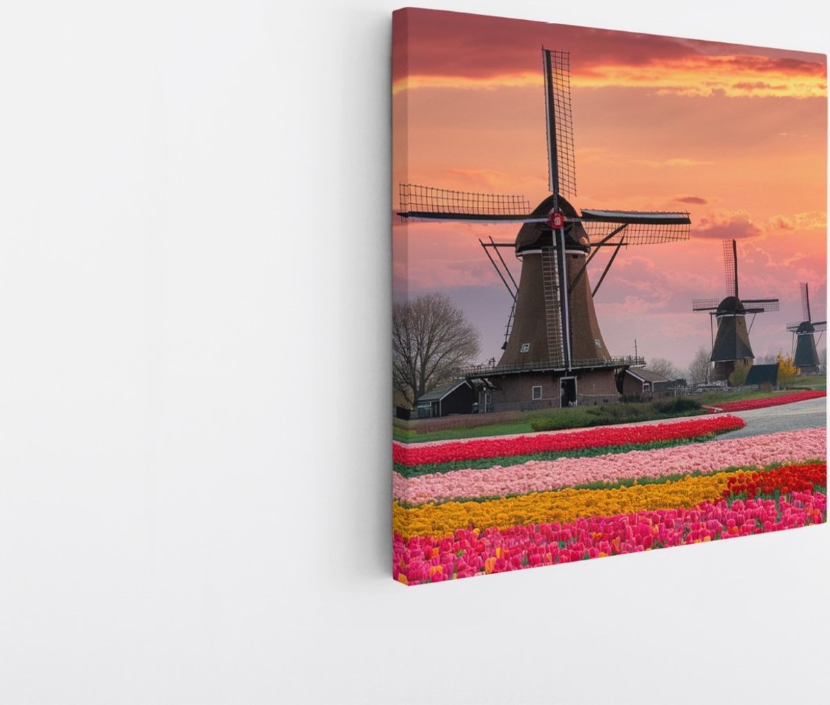 Saammp Canvas Schilderij - Molens met Tulpenvelden - Natuur - 60x60 - Foto op canvas - Wanddecoratie - Muurdecoratie Woonkamer - Slaapkamer decoratie - Canvas Print Multicolor