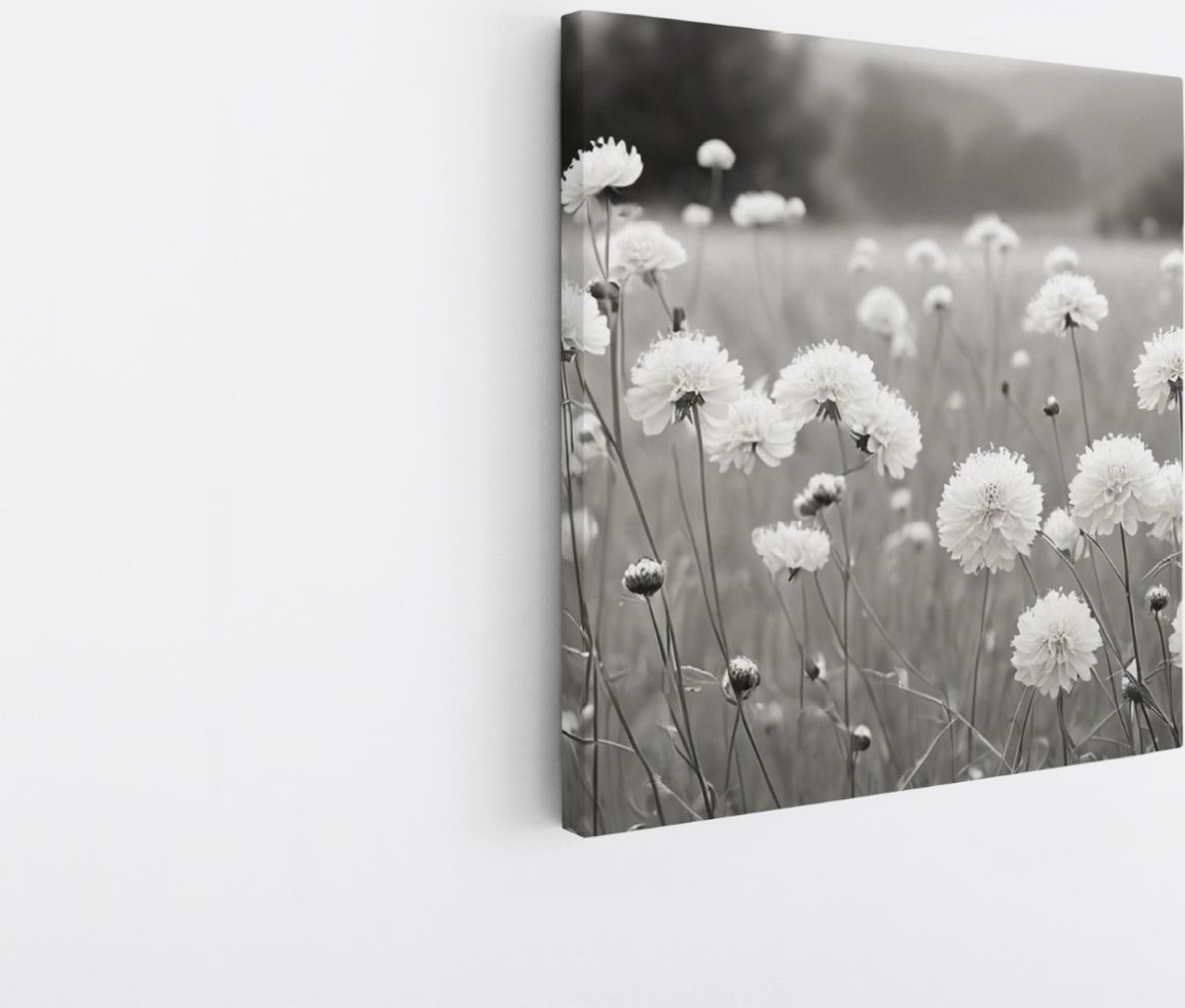 Saammp Canvas Schilderij - Landschap - Zwart-Wit - Bloemen van dichtbij - Natuur - 100x100 - Foto op canvas - Wanddecoratie - Muurdecoratie Woonkamer - Slaapkamer decoratie - Canvas Print Multicolor