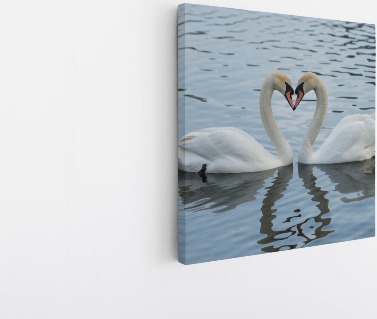 Saammp Canvas Schilderij - 2 Zwanen - Hartvorm - Natuur - Dieren - 100x100 - Foto op canvas - Wanddecoratie - Muurdecoratie Woonkamer - Slaapkamer decoratie - Canvas Print Multicolor