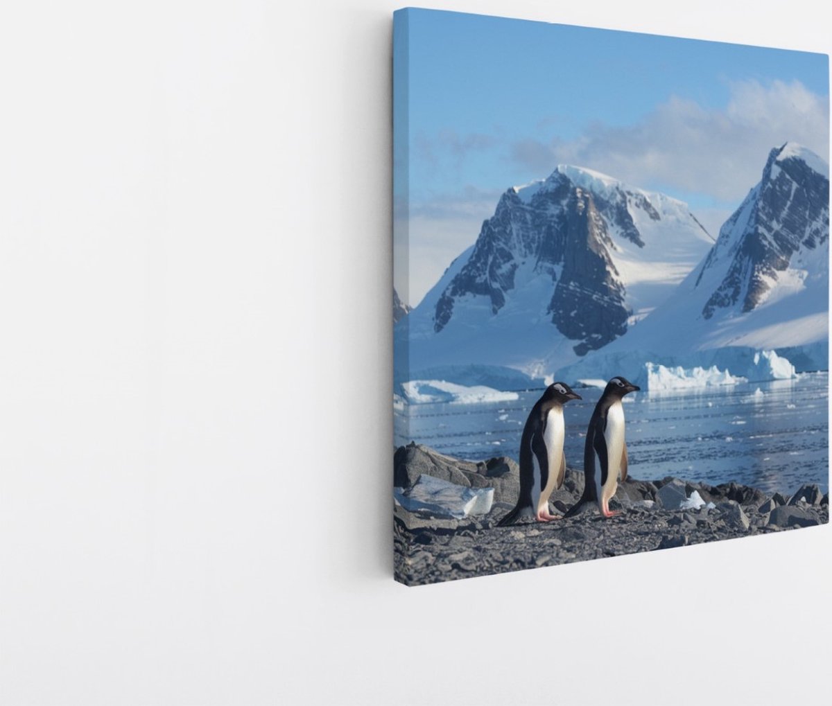 Saammp Canvas Schilderij - Pinguin op de zuidpool - Natuur - Dieren - 30x30 - Foto op canvas - Wanddecoratie - Muurdecoratie Woonkamer - Slaapkamer decoratie - Canvas Print Multicolor