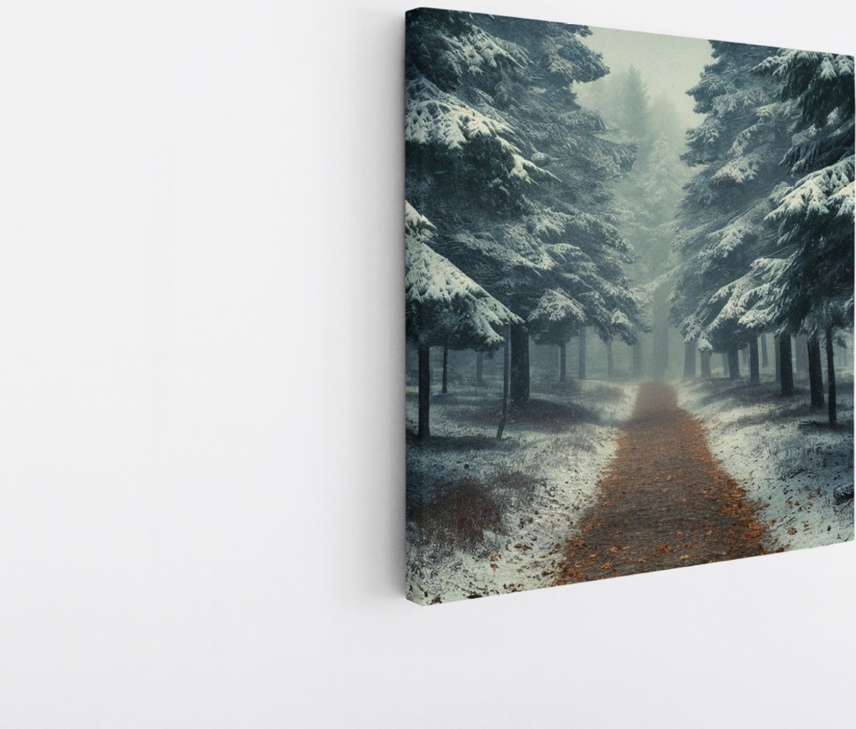 Saammp Canvas Schilderij - Landschap - Bomen tijdens de winter - Natuur - 60x60 - Foto op canvas - Wanddecoratie - Muurdecoratie Woonkamer - Slaapkamer decoratie - Canvas Print Multicolor