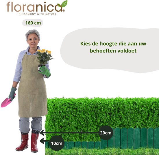 Rolborder - 20 cm hoog - 200 cm breed