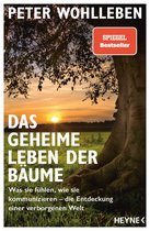 E-book