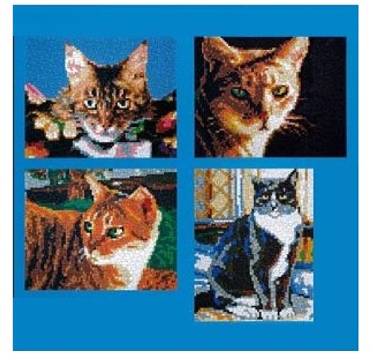 Stickit vier-in-een katten, ca. 5.100 steentjes, compatible met Ministeck