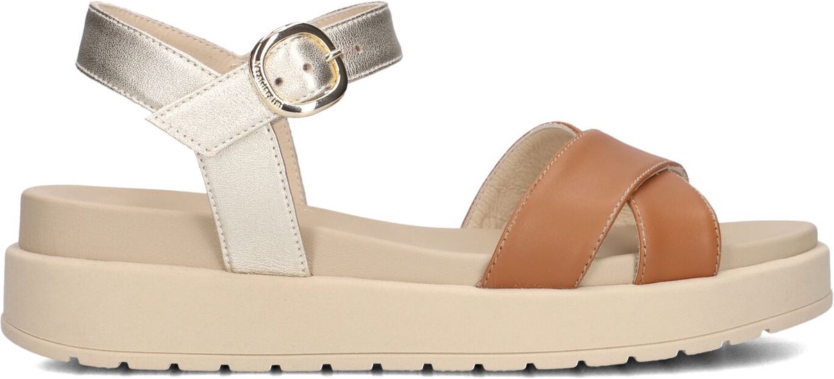 Nero Giardini 513703 Sandalen Dames Bruin