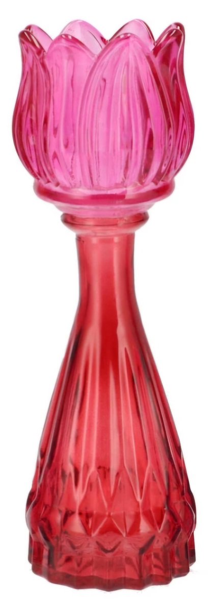 Daan-Kromhout Bicolore dutch pink mix tulip vase 7x22cm