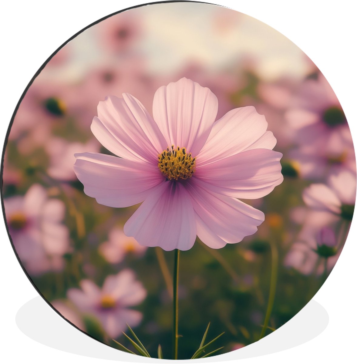 WallCircle Wandcirkel - Muurcirkel - Bloemen - Paars - Wazig - Aluminium - Dibond - 60x60 cm - Binnen en Buiten