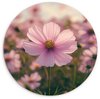 Bloemen, Paars