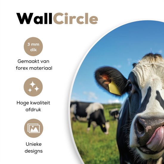 Close-up van een Holstein koe die met haar tong likt, met 3 mm dikte en een hoogwaardige afdruk.