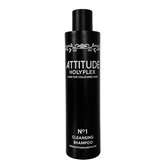 Attitude Hair Dye - Holyplex No.1 Cleansing Shampoo -