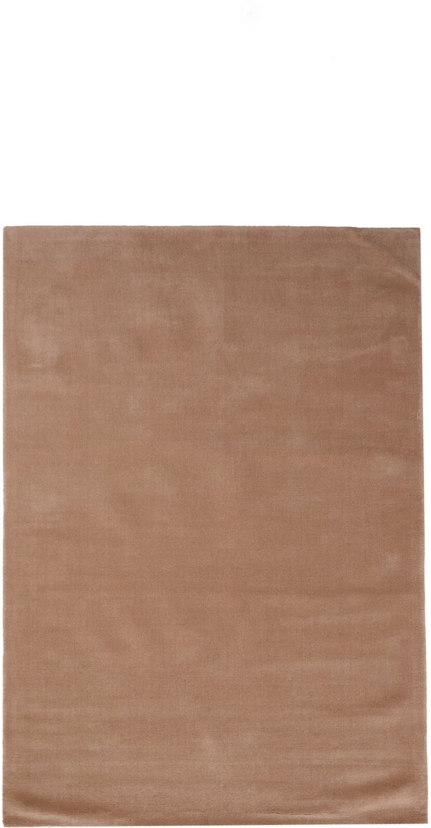Vloerkleed AZUSA - 160x230x0.5cm - Bruin