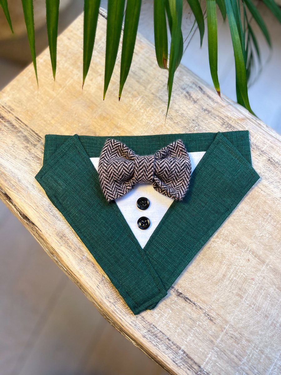 Kostuum voor honden | Groen met Tweed strik | Slip-on Bandana - S/M
