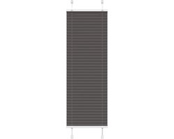 vidaXL - Plissé - rolgordijn - 45x150 - cm - stofbreedte - 44,4 - cm - polyester - zwart