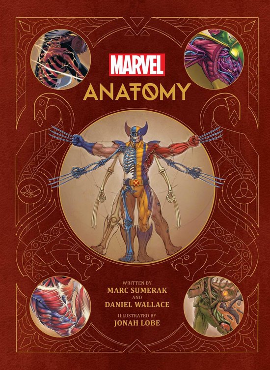 Marvel Anotomy - cover