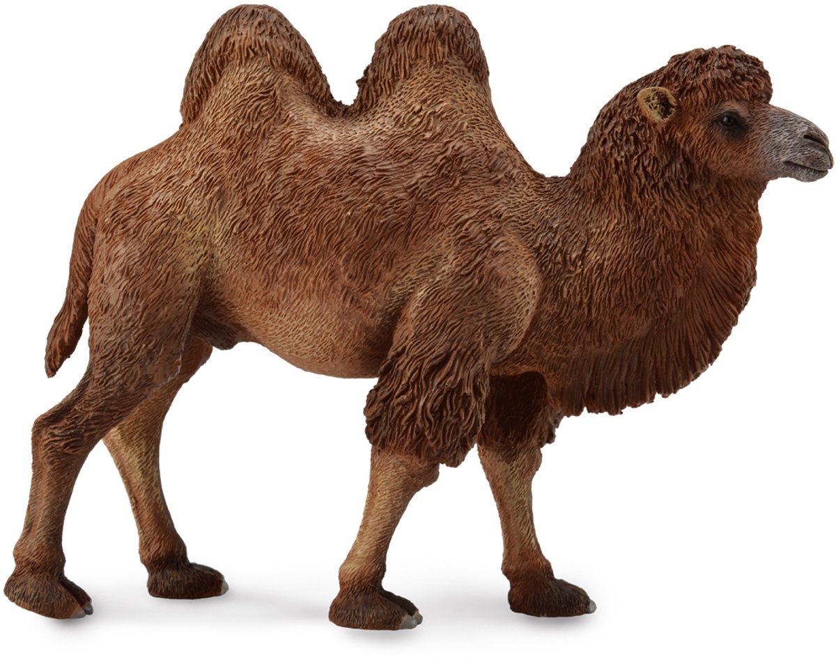 Figurine - Kameel - (L) - Wilde Dieren - Handgeschilderd - Miniatuur van Collecta in Bruin – productfoto