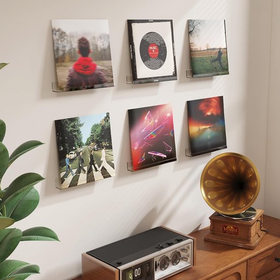 Transparante Acryl Wandplanken voor Vinyl Platen, Foto's en Decoratie - 10 Stuks
