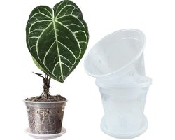 Clear 17cm Plantenpot met Gaten en Schotels voor Tropische Planten