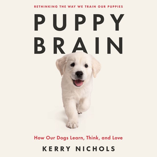 Puppy Brain - cover